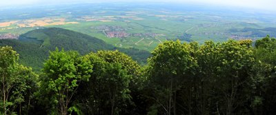 Vue depuis le chateau du Haut-Koenigsbourg_4790415405_l.jpg